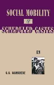 Social Mobility and Scheduled Castes: Receding Horizons [OUT OF PRINT] / Wankhede, G.G. 