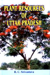 Plant Resources of Uttar Pradesh / Srivastava, R.C. 