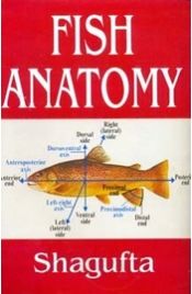 Fish Anatomy / Shagufta 