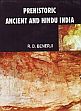 Prehistoric Ancient and Hindu India /  Benerji, R.D. 