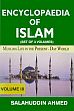 Encyclopaedia of Islam: Muslims Life in the Present-Day World; 3 Volumes /  Ahmed, Salahuddin 