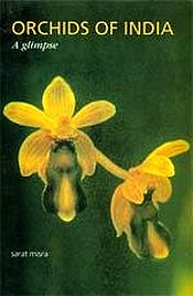 Orchids of India: A Glimpse / Misra, Sarat 