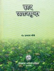 Brhat Rasarajasundar (Apurav Rasgranth) / Chaube, Dattaram (Pt.)