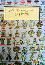 Sman ming tsig mdzod blo gsar sgo 'byed lde mig / A Key to Open the Door of a New Understanding - A Dictionary of Medical Terms / Norbu, Tsering (Dr.)