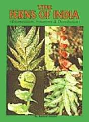 The Ferns of India: Enumeration, Synonyms and Distributions / Chandra, S. 
