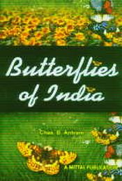 Butterflies of India: With Illustrations of Practically Every Species for Easy Identification / Antram, Chas. B. 