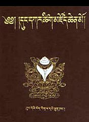 The White Conch Dictionary: Dud dkar Tshig mdzod chen mo: Mkhas dban Dud dkar Blo bzan phrin las mchog gis mdzad pa'i Bod rig pa'i tshig mdzod chen mo Ses bya rab gsal ses bya ba bzugs so: Dungkar Tibetological Great Dictionary, 2 Volumes (Tibetan-Tibetan) / Dungkar Losang Khrinley 