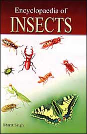 Encyclopaedia of Insects; 2 Volumes / Singh, Bharat 