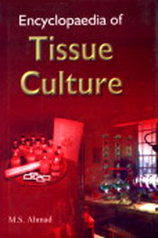 Encyclopaedia of Tissue Culture; 3 Volumes / Ahmad, M.S. 
