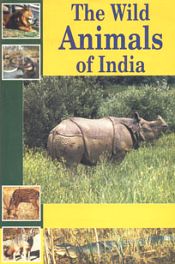 The Wild Animals of India; (Second Indian Impression)