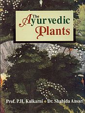 The Ayurvedic Plants (Over 300 Plants with their descriptive details) / Kulkarni, P.H. & Ansari, Shahida 