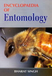 Encyclopaedia of Entomology; 2 Volumes / Singh, Bharat 