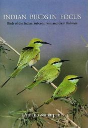 Indian Birds in Focus: Birds of the Indian Subcontinent and their Habitats / Samarpan, Amano 