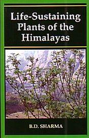 Life-Sustaining Plants of the Himalayas / Sharma, B.D. 