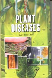 Plant Disease / Singh, Gyan Deep 