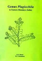 Genus Plagiochila in Eastern Himalaya: India / Rawat, K.K. & Srivastava, S.C. 