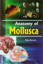 Anatomy of Mollusca / Rawat, Rita 