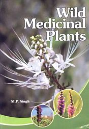 Wild Medicinal Plants / Singh, M.P. 