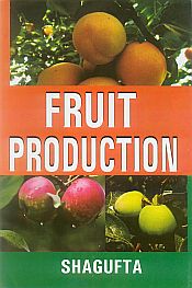 Fruit Production / Shagufta 