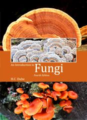 An Introduction to Fungi (4th Edition) / Dube, H.C. 