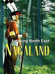 Amazing North East: Nagaland / Devi, Aribam Indubala (Ed.)