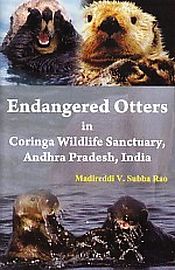 Endangered Otters in Coringa Wildlife Sanctuary Andhra Pradesh, India / Rao, Madireddi V. Subba 
