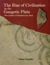 The Rise of Civilization in the Gangetic Plain: The Context of Painted Grey Ware / Tripathi, Vibha 