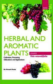 Herbal and Aromatic Plants - Vitis rotundifolia (GRAPES): Cultivation, Processing, Utilizations and Applications / Panda, Himadri (Dr.)