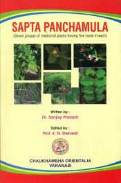 Sapta Panchamula (Seven groups of medicinal plants having five roots in each) / Prakash, Sanjay (Dr.)