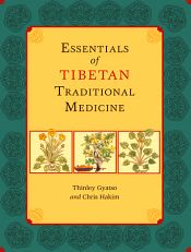 Essentials of Tibetan Traditional Medicine / Gyatso, Thinley & Hakim, Chris 