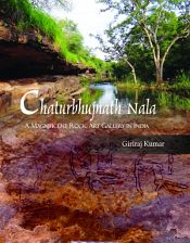 Chaturbhujnath Nala: A Magnificent Rock Art Gallery in India / Kumar, Giriraj 