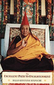 The Excellent Path to Enlightenment / Khyentse, Dilgo (Rinpoche)