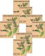Indian Medicinal Plants; 8 Volumes / Kirtikar, K.R. & Basu, B.D. 