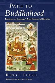 Path to Buddhahood: Teachings on Gampopa's Jewel Ornament of Liberation / Tulku, Ringu 