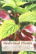 Medicinal Plants: Descriptions with Original Figures of the Principal Plants Employed in Medicine and an Account of the Characters, Properties and Uses of their Parts and Products of Medicinal Value; 4 Volumes /  Bentley, Robert & Trimen, Henry 