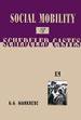 Social Mobility and Scheduled Castes: Receding Horizons /  Wankhede, G.G. 