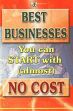 Best Business You Can Start with (Almost) No Cost /  Sharma, Vinay M. 