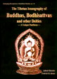 The Tibetan Iconography of Buddhas, Bodhisattvas and other Deities: A Unique Pantheon /  Lokesh Chandra & Bunce, Fredrick W. 