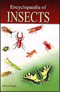 Encyclopaedia of Insects; 2 Volumes /  Singh, Bharat 