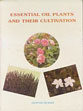 Essential Oil Plants and Their Cultivation /  Husain, Akhtar (Dr.)