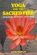 Yoga and the Sacred Fire: Self Realization and Planetary Transformation /  Frawley, David 