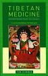 Tibetan Medicine and Other Holistic Health-Care Systems /  Dummer, Tom 