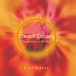 Eternal Echoes: The Journey to the Self /  Singal, Vijay 