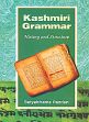 Kashmiri Grammar: History and Structure /  Razdan, Satyabhama 