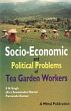 Socio-Economic and Political Problems of Tea Garden Workers: A Study of Assam /  Singh, S.N.; Narain, Amarendra & Kumar, Purnendu 