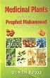 Medicinal Plants in the Traditions of Prophet (Prophetic Medicine) /  Farooqi, M.I.H. (Dr.)
