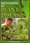 Encyclopaedia of Plant Diseases /  Singh, Satyavir 