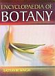 Encyclopaedia of Botany /  Singh, Satyavir 