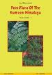 An Illustrated Fern Flora of the Kumaon Himalaya; 2 Volumes /  Pande, H.C. & Pande, P.C. 