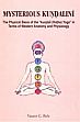 Mysterious Kundalini: The Physical Basis of the 